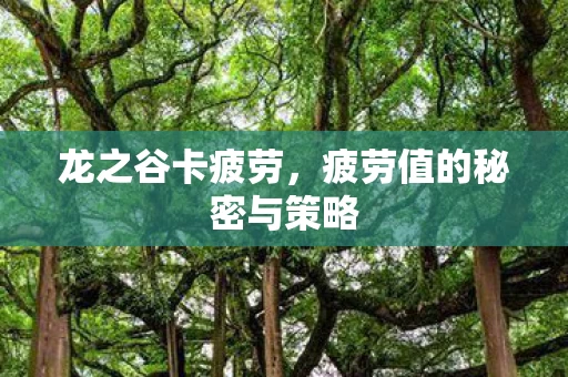 疲劳值的秘密与策略图片