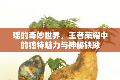 王者荣耀中的独特魅力与神秘铁球图片