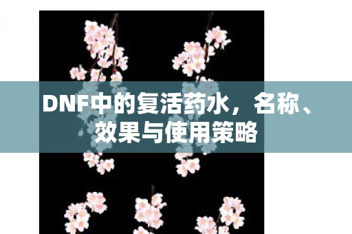 DNF中的复活药水图片