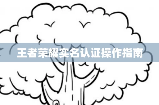 王者荣耀实名认证操作指南图片