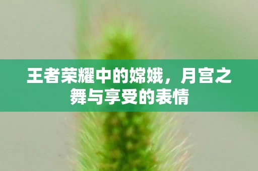 月宫之舞与享受的表情图片