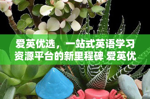 一站式英语学习资源平台的新里程碑 爱英优选v1图片