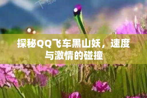 探秘QQ飞车黑山妖,速度与激情的碰撞 探秘QQ飞车黑山妖,速度与激情的碰撞
