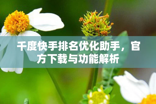 千度快手排名优化助手,官方下载与功能解析 千度快手排名优化助手,官方下载与功能解析