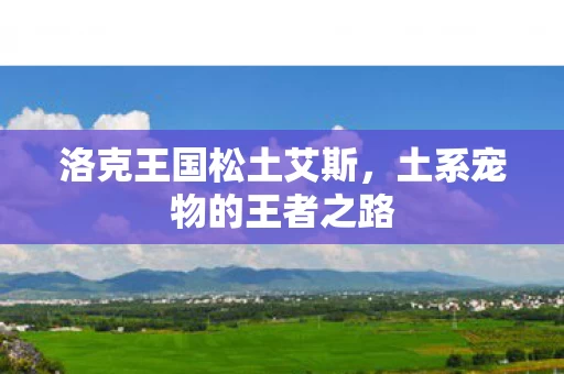 土系宠物的王者之路图片