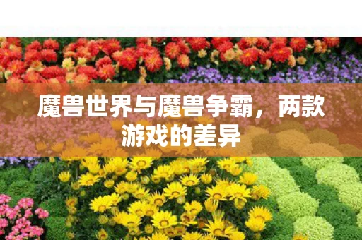 魔兽世界与魔兽争霸，两款游戏的差异