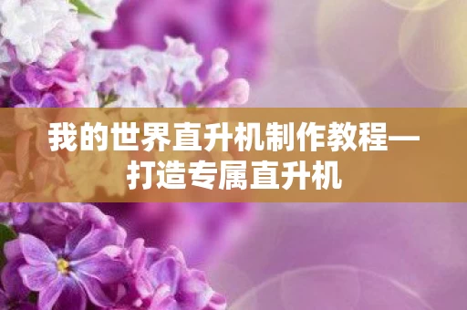 我的世界直升机制作教程图片