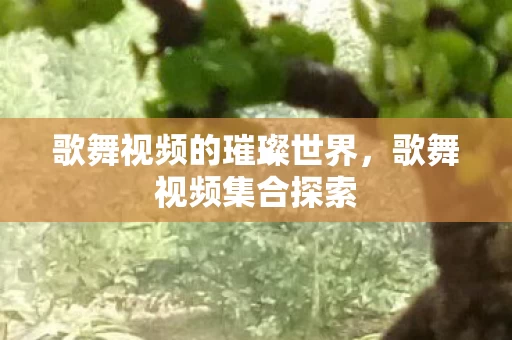歌舞视频的璀璨世界图片