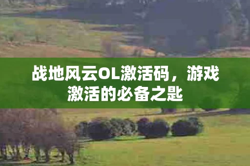 战地风云OL激活码图片