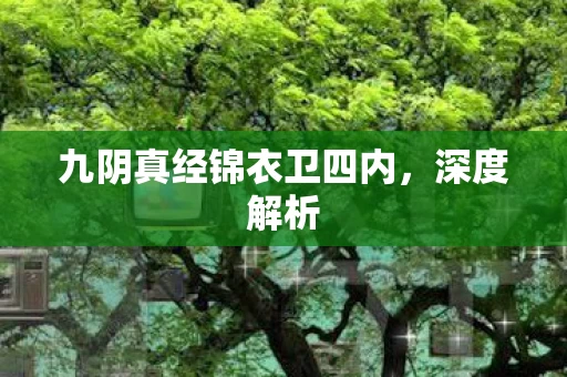 九阴真经锦衣卫四内图片