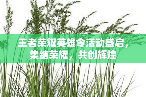王者荣耀英雄令活动盛启图片