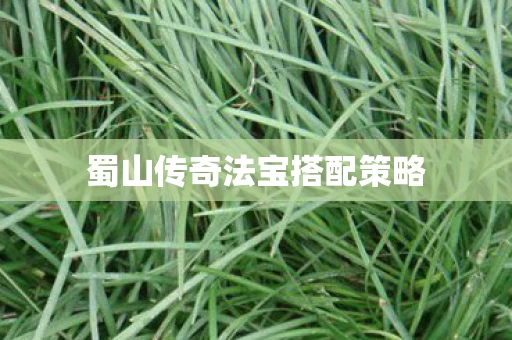 蜀山传奇法宝搭配策略图片