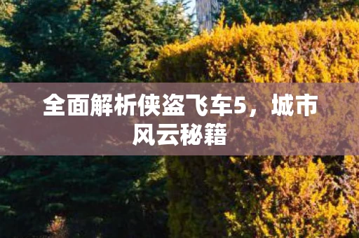全面解析侠盗飞车5图片