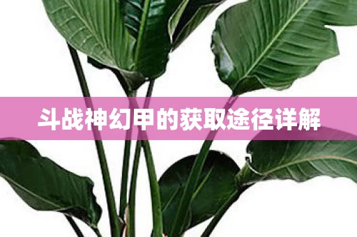 斗战神幻甲的获取途径详解图片