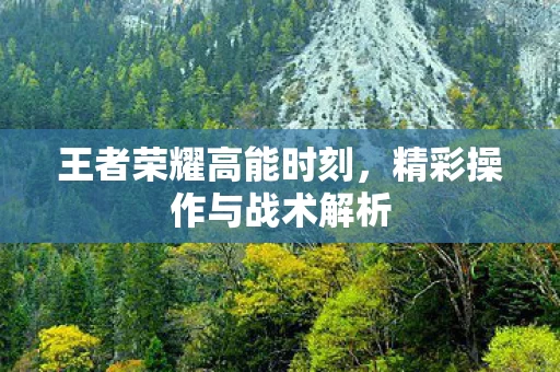 精彩操作与战术解析图片