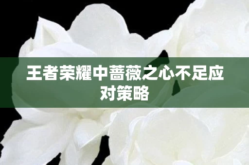王者荣耀中蔷薇之心不足应对策略图片