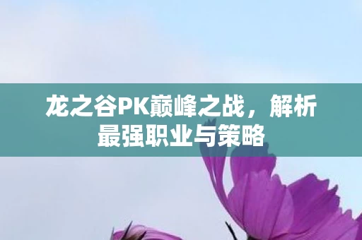 龙之谷PK巅峰之战图片