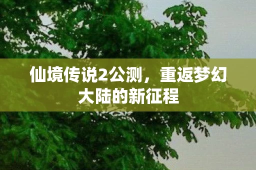 仙境传说2公测,重返梦幻大陆的新征程 仙境传说2公测,重返梦幻大陆的新征程