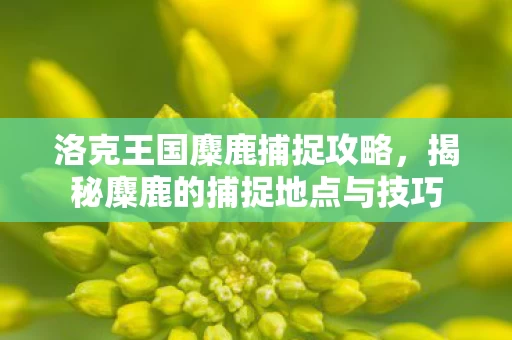 洛克王国麋鹿捕捉攻略,揭秘麋鹿的捕捉地点与技巧 洛克王国麋鹿捕捉攻略,揭秘麋鹿的捕捉地点与技巧