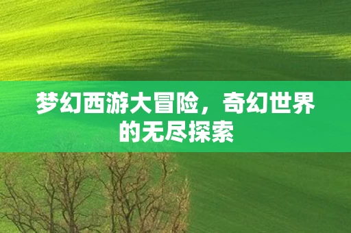 梦幻西游大冒险,奇幻世界的无尽探索 梦幻西游大冒险,奇幻世界的无尽探索