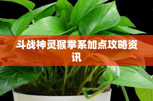 斗战神灵猴拳系加点攻略资讯 斗战神灵猴拳系加点攻略资讯