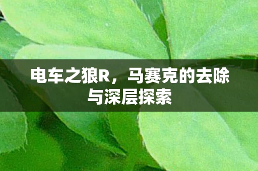 马赛克的去除与深层探索图片