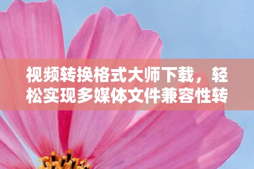 视频转换格式大师下载,轻松实现多媒体文件兼容性转换 视频转换格式大师下载,轻松实现多媒体文件兼容性转换