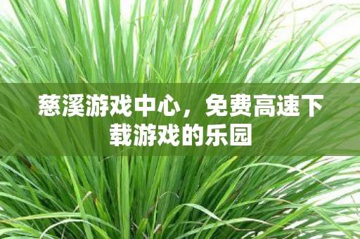 慈溪游戏中心,免费高速下载游戏的乐园 慈溪游戏中心,免费高速下载游戏的乐园