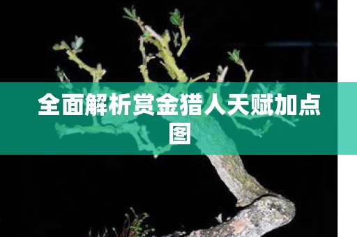 全面解析赏金猎人天赋加点图 全面解析赏金猎人天赋加点图