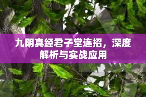 九阴真经君子堂连招图片