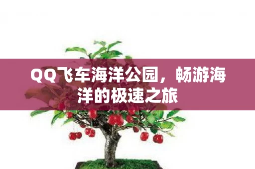 畅游海洋的极速之旅图片