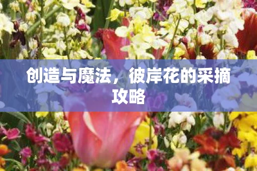 彼岸花的采摘攻略图片