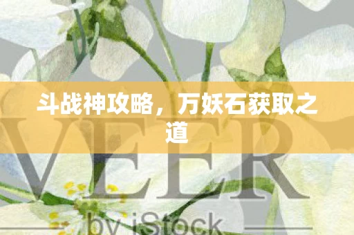 万妖石获取之道图片