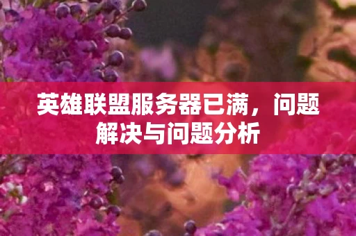 英雄联盟服务器已满图片