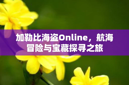 加勒比海盗Online图片