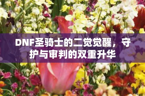 DNF圣骑士的二觉觉醒图片