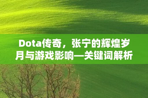 张宁的辉煌岁月与游戏影响图片