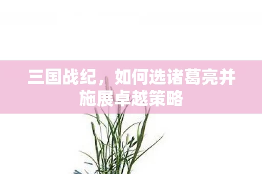如何选诸葛亮并施展卓越策略图片