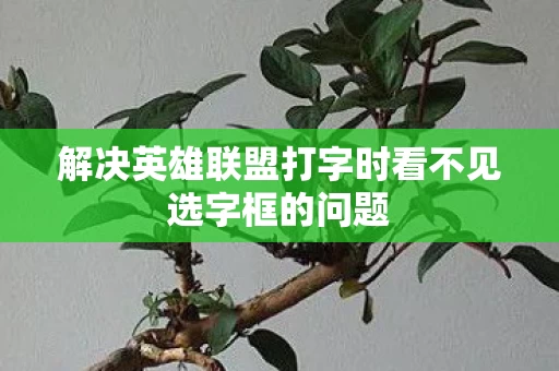 解决英雄联盟打字时看不见选字框的问题图片
