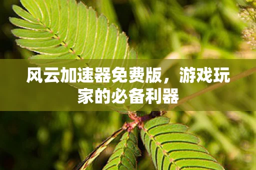 游戏玩家的必备利器图片