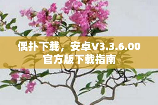 00官方版下载指南图片