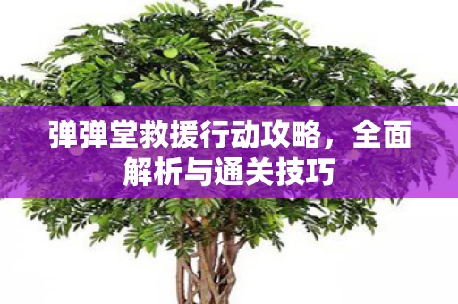 弹弹堂救援行动攻略图片