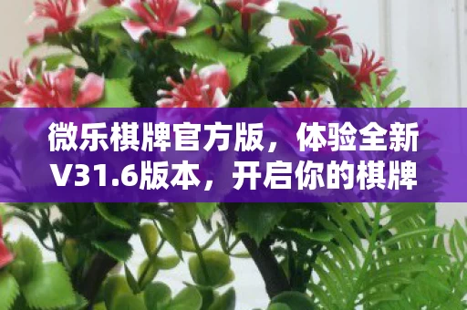 开启你的棋牌之旅图片