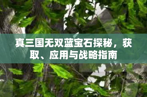 真三国无双蓝宝石探秘图片