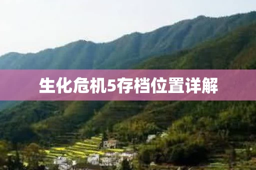 生化危机5存档位置详解图片