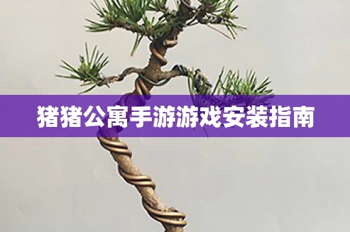 猪猪公寓手游游戏安装指南图片
