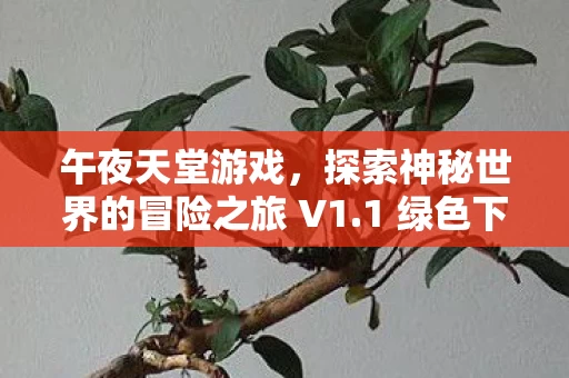 探索神秘世界的冒险之旅 V1图片