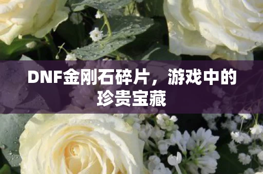 DNF金刚石碎片图片