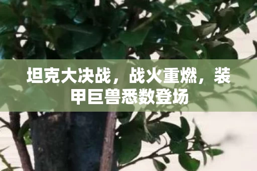 装甲巨兽悉数登场图片