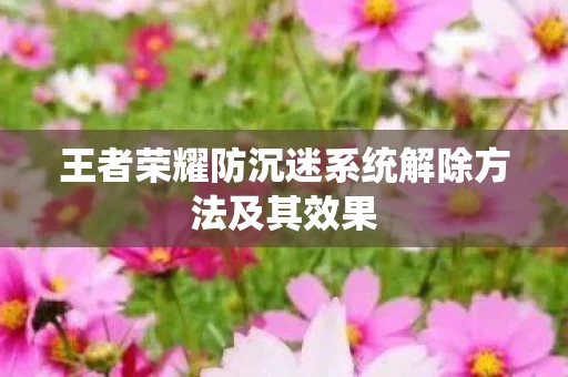 王者荣耀防沉迷系统解除方法及其效果图片